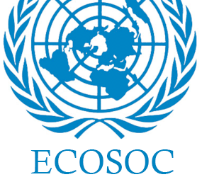 Womenvai is granted consultative status to the United Nations Economic and Social Council (ECOSOC)